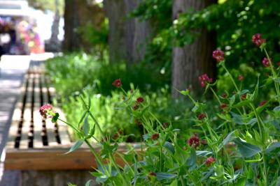 Прикрепленное изображение: 140.JPG